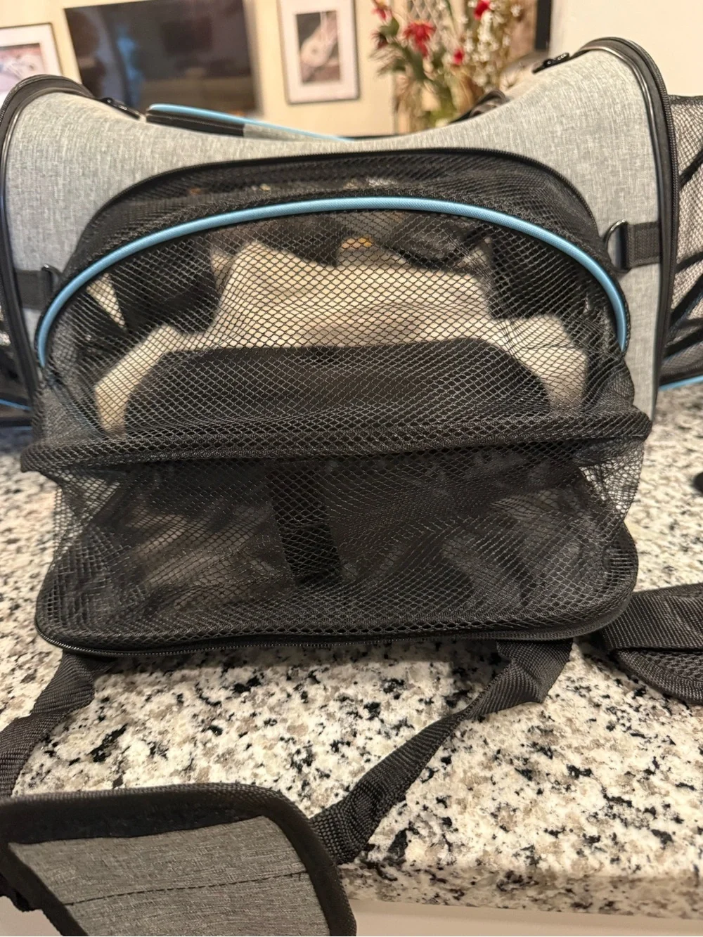 Pet  carrier Gray and Light Blue Soft-Sided Pet Carrier with Removable Strap